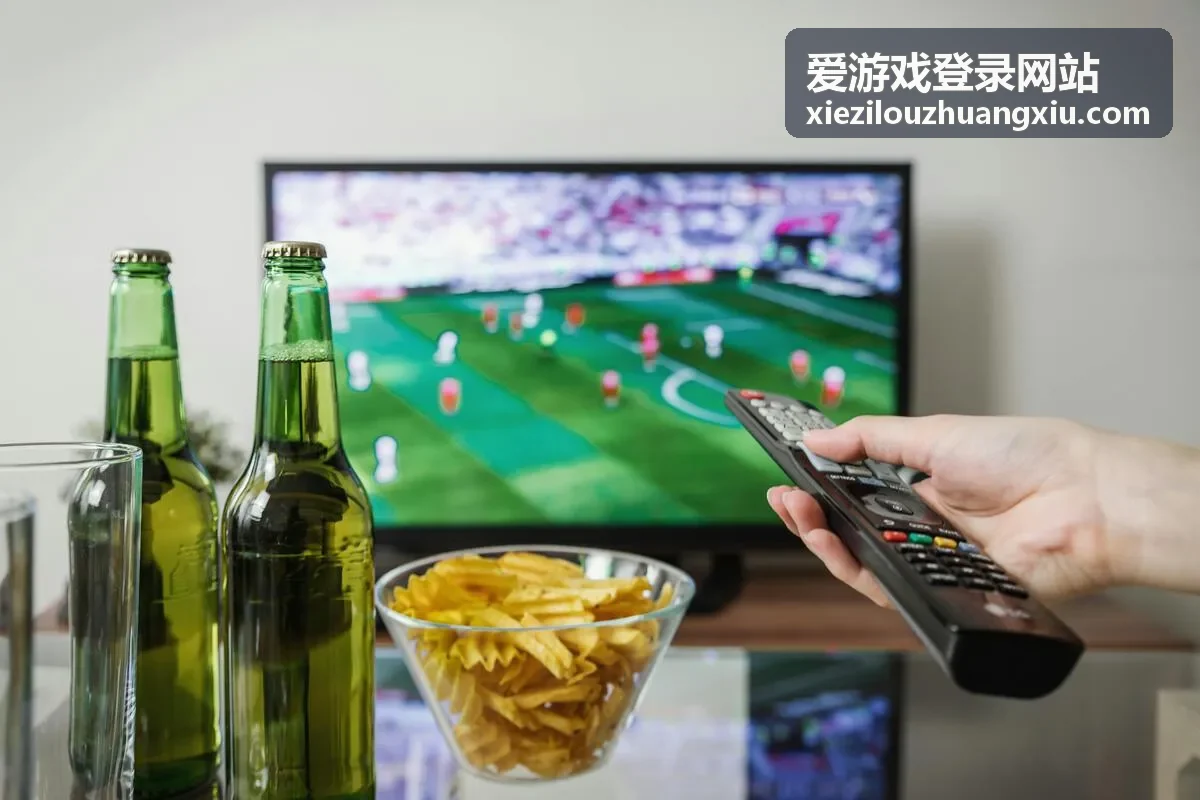 爱游戏登录网站授权应用管理示意